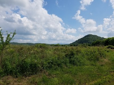 Southern view from just south of Wayne's Pond