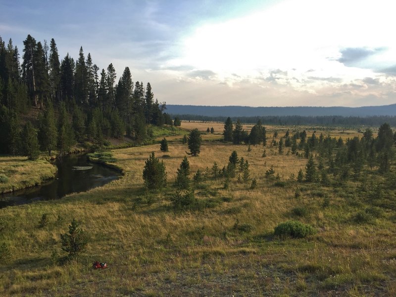 Little Firehole Meadows.