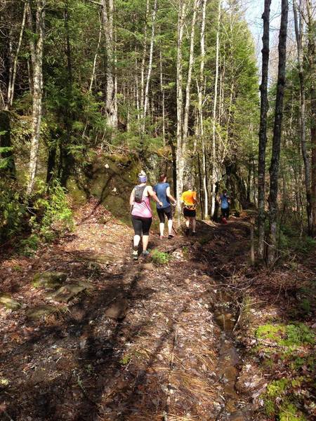 Runners from La Chute du Diable's Trail Running Club training on the 10Km loop. May 14, 2016. Peggy Juneau