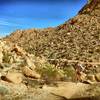 Starting the climb through Boy Scout Trail.