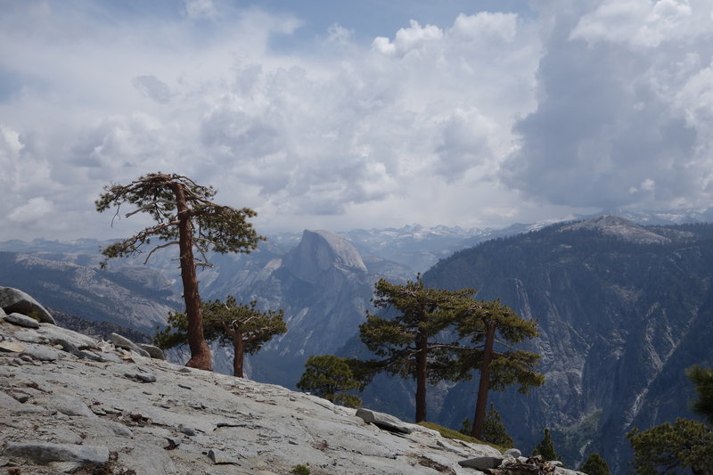 On top of El Capitan, Yosemite National Park.