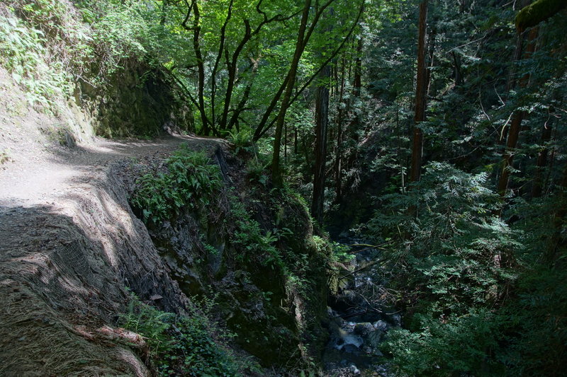 The slight drop-off on Bootjack Trail.