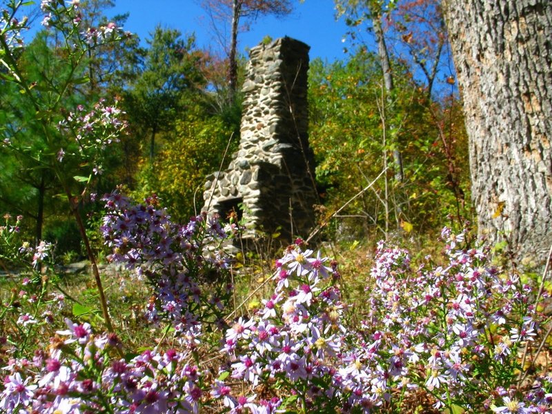 Remnant of an old building at Rapidan Camp. with permission from rootboy