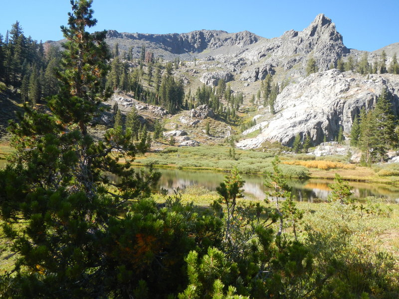 View of Alstot Lake.