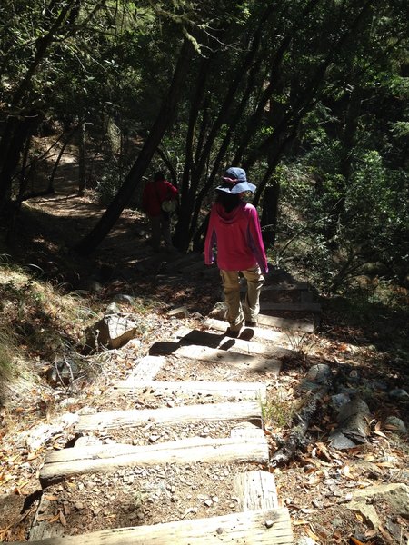 Bootjack Trail stairs