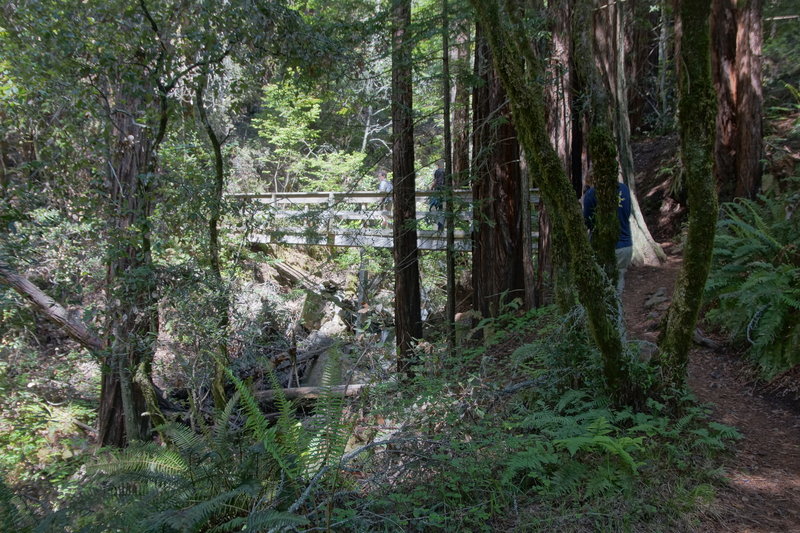 Crossing Laguna Creek