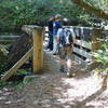 Crossing Spike Buck Creek on the Troop 80 Trail