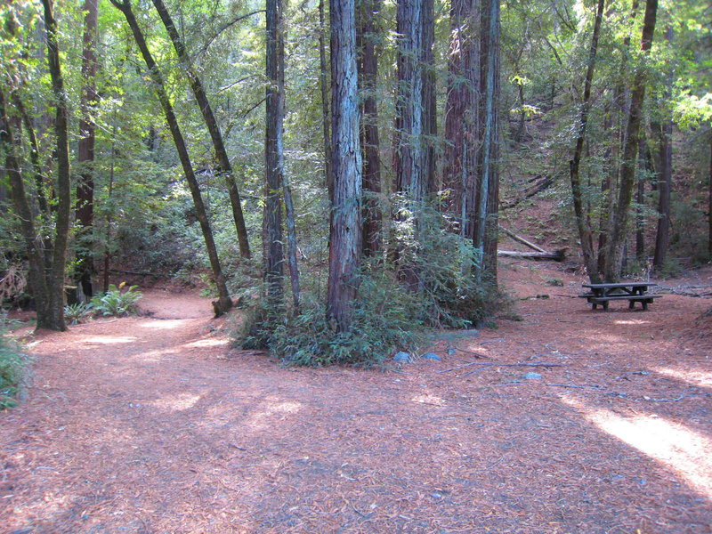 Jack London State Historic Park. Rest area well up on Mountain Trail. One picnic table, no water, no restrooms. with permission from MrRedwood