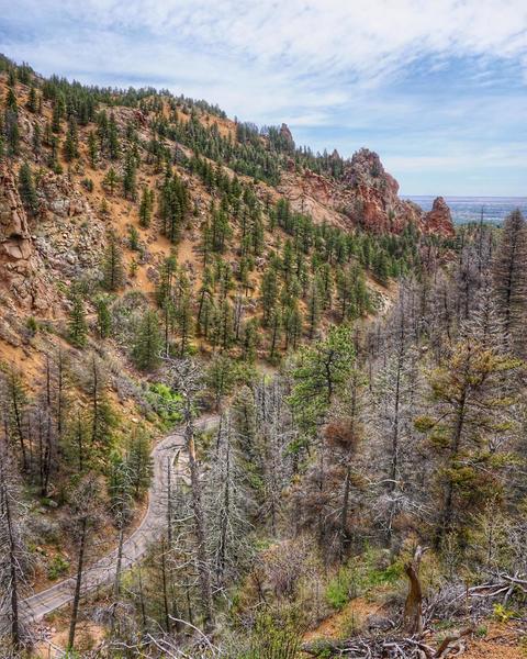 View of N Cheyenne Canyon Rd., about ~0.1 miles from the Mt. Muscoco Trailhead.