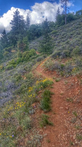 Heading Up Bolt Mountain