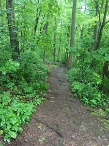 Trailhead to connect to AT.