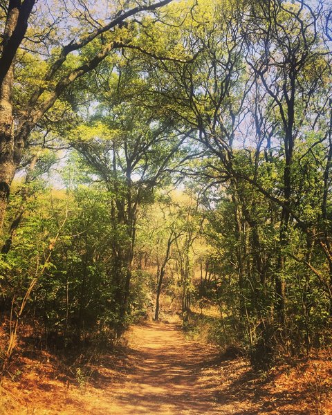 A very quiet trail in the woods!