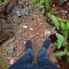 My feet and lots of ferns on this trail.