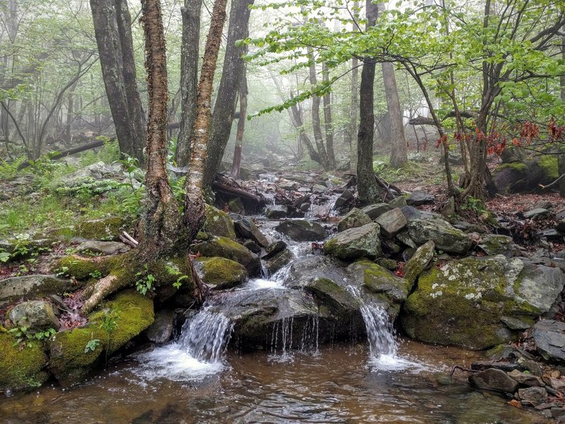 Small cascade in a picturesque setting along the Dark Hollow Falls Trail.