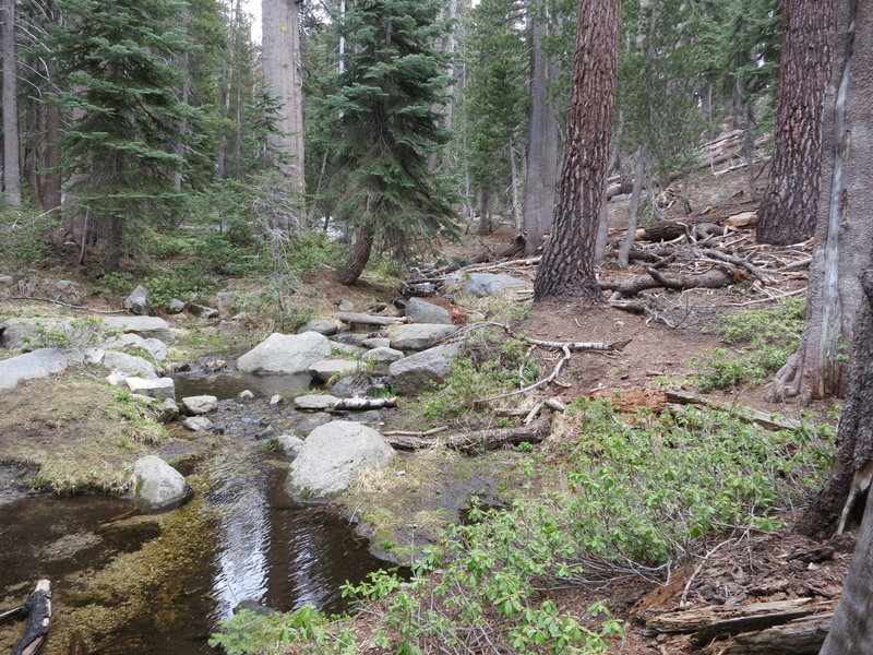 Stream on Lakes Trail in Sequoia NP.