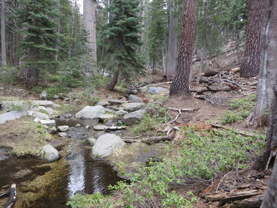 Stream on Lakes Trail in Sequoia NP.