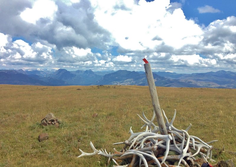 The top of Amethyst Mountain (9614'), the highest point on Specimen Ridge.