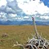 The top of Amethyst Mountain (9614'), the highest point on Specimen Ridge.