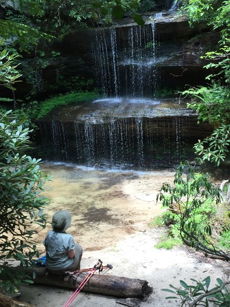 Enjoying the serenity of Crystal Falls.