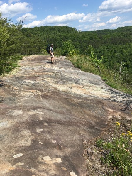 Thomson Overlook.