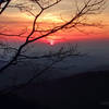 Sunrise view from Buck Hollow Overlook.