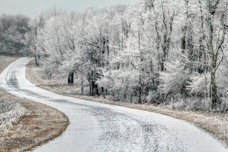 Rime Ice along the Rapidan Road.