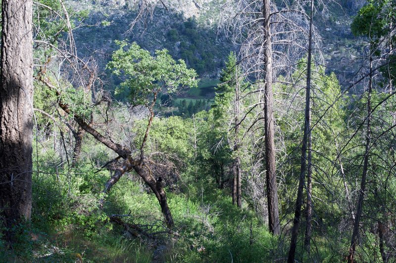 Poopenaut Valley in the spring time. You can tell that its a steep drop from this point to the valley floor.