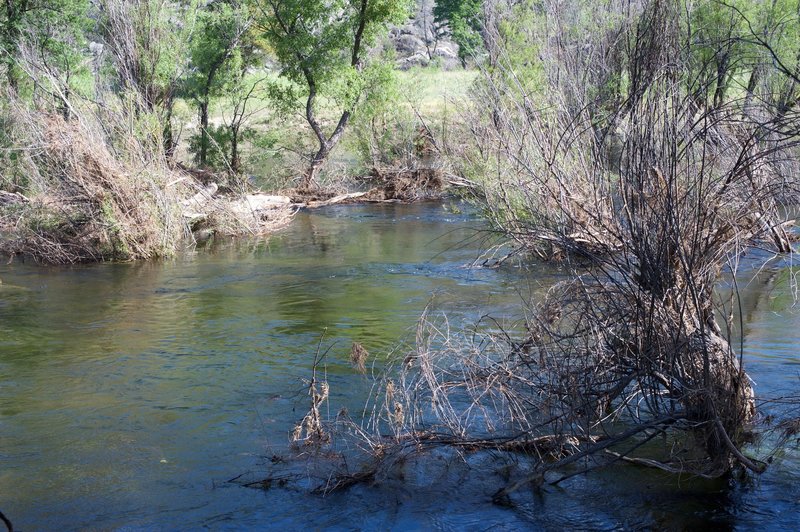 The Tuolumne River in the spring as it meanders through the valley.