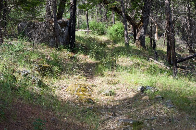 The trail as it it works its way through the woods. You can see that it can be difficult to follow.