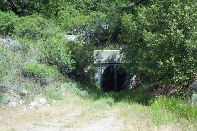 There is a tunnel, which ties into the dam and provides relief in high water, that sits off on the right side of the trail.