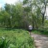 Great running surface on the Bobolink Trail.