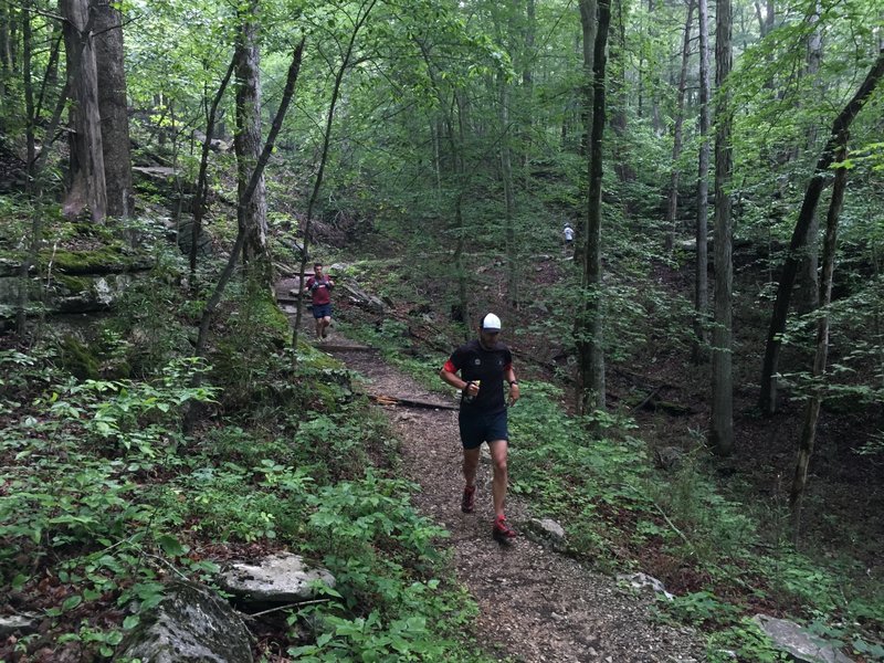 Fun descent on the Sinkhole Trail.