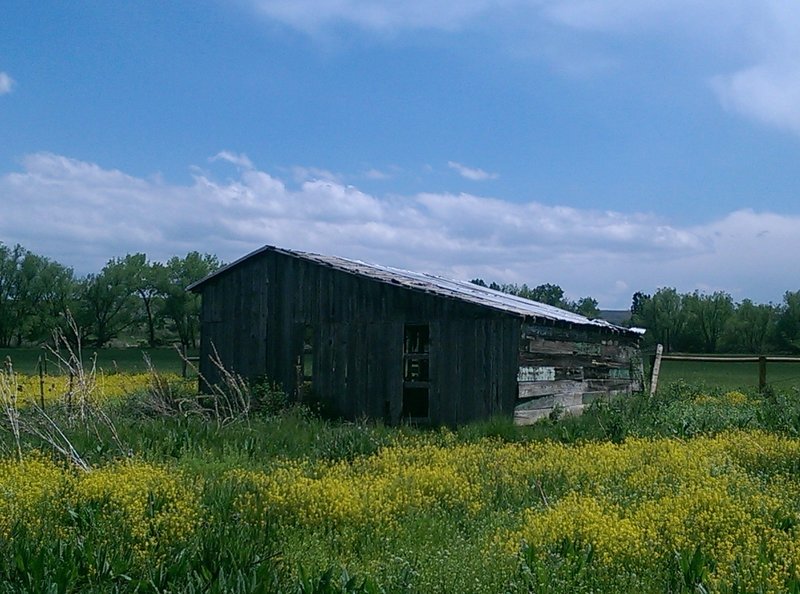 Scenic old shed along the South Boulder Creek Trail.