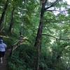 This stretch of the Green River Bluffs Trail offers a fun traverse of the Green River with great views.