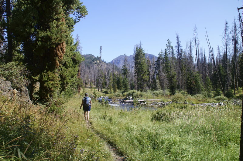 Hiking along Specimen Creek. with permission from geogeek