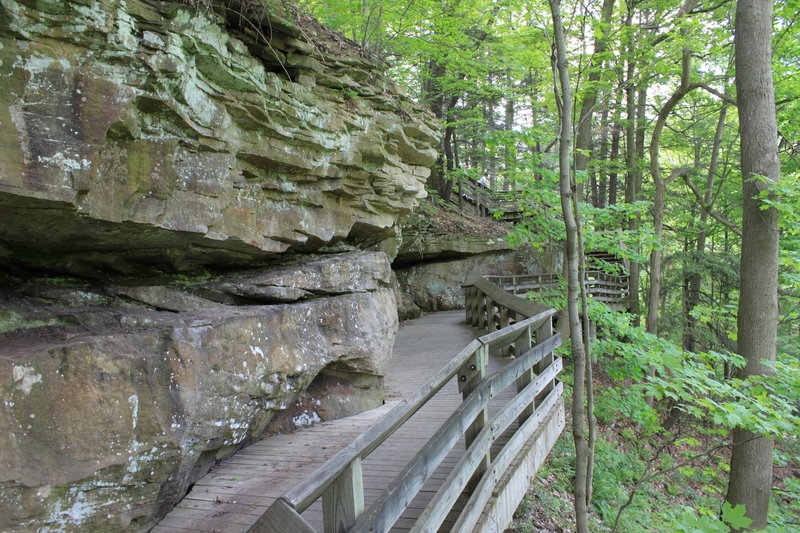 Cuyahoga Valley: Wooden Elevated Path.