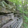 Cuyahoga Valley: Wooden Elevated Path.