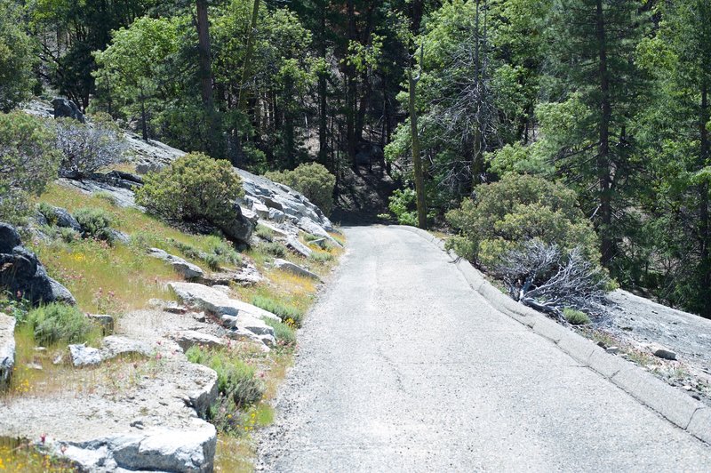 The trail is a road for a majority of its duration, but does narrow to a single dirt track on the top.