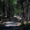 The trail as it makes its way uphill.