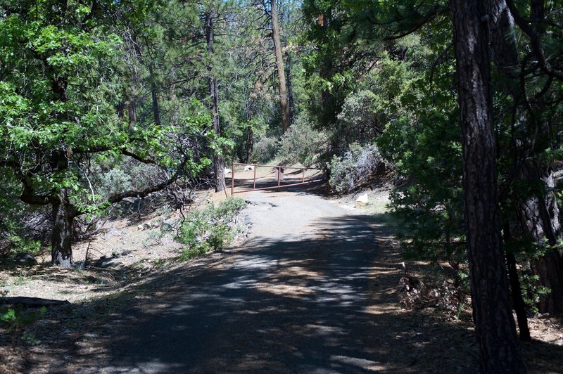 Approaching Wawona Road (Highway 41) returning to the car. There is room for a couple of cars at the trailhead.