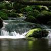 Staunton River. with permission from rootboy