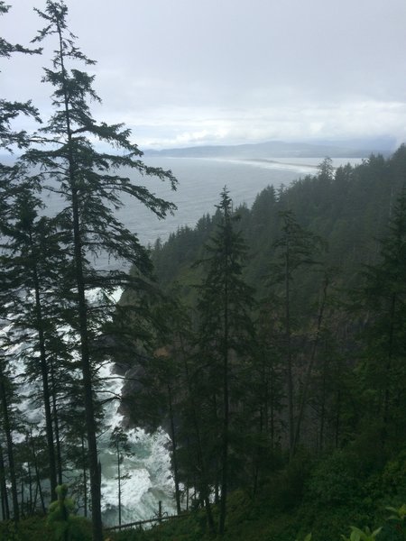 View north along the Pacific coast.