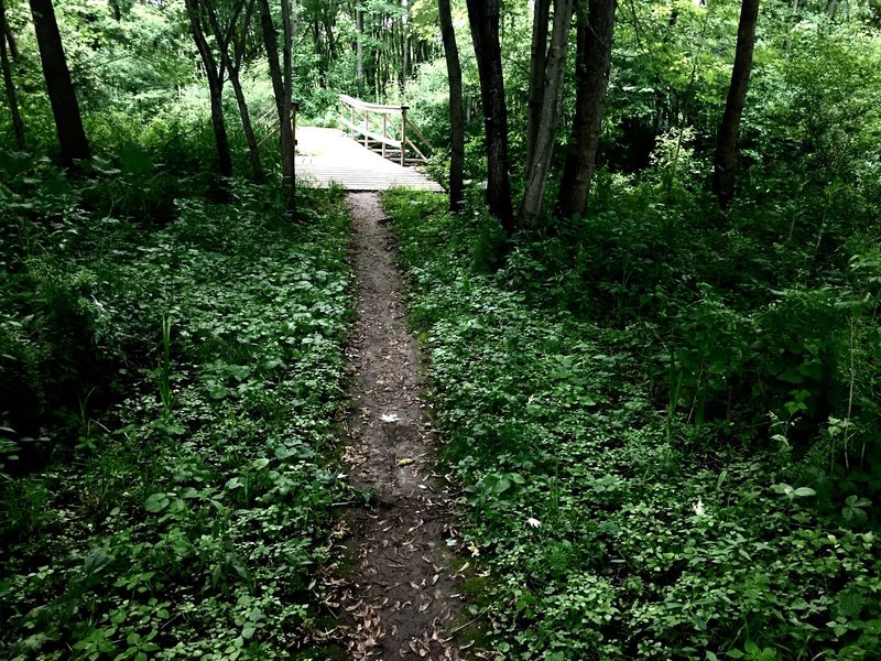 Clear Creek singletrack and footbridge.