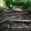 Singletrack on the Clear Creek natural surface trail.