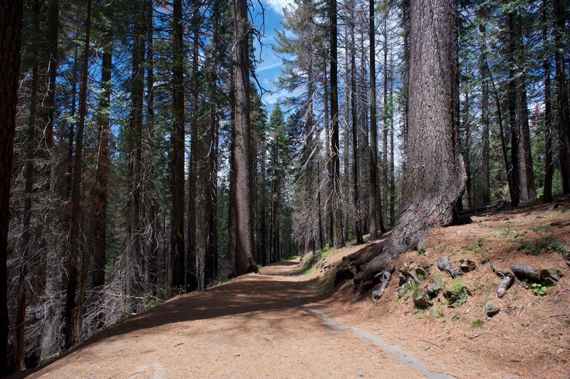 Hodgdon meadow clearance trails