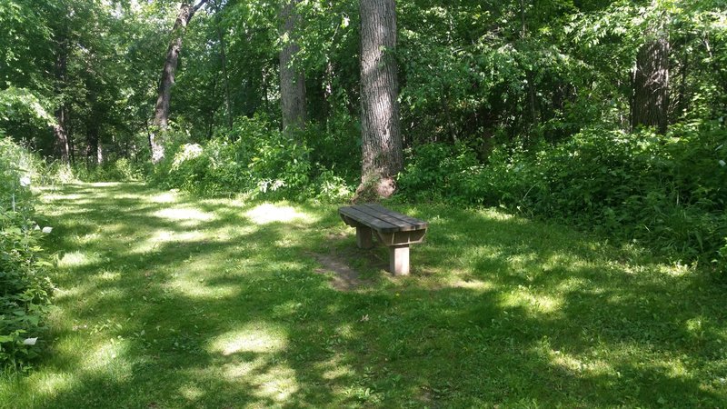 Shady section of the South Loop Trail.