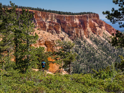 Climbing the plateau.