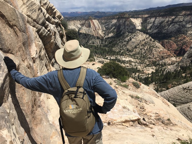 West Rim Trail. This white sandstone escarpment is a great part of the hike - spectacular views and nothing but rock trail.