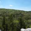 Overlooking Paddy Creek.