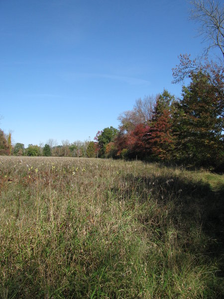 Meadow Trail.